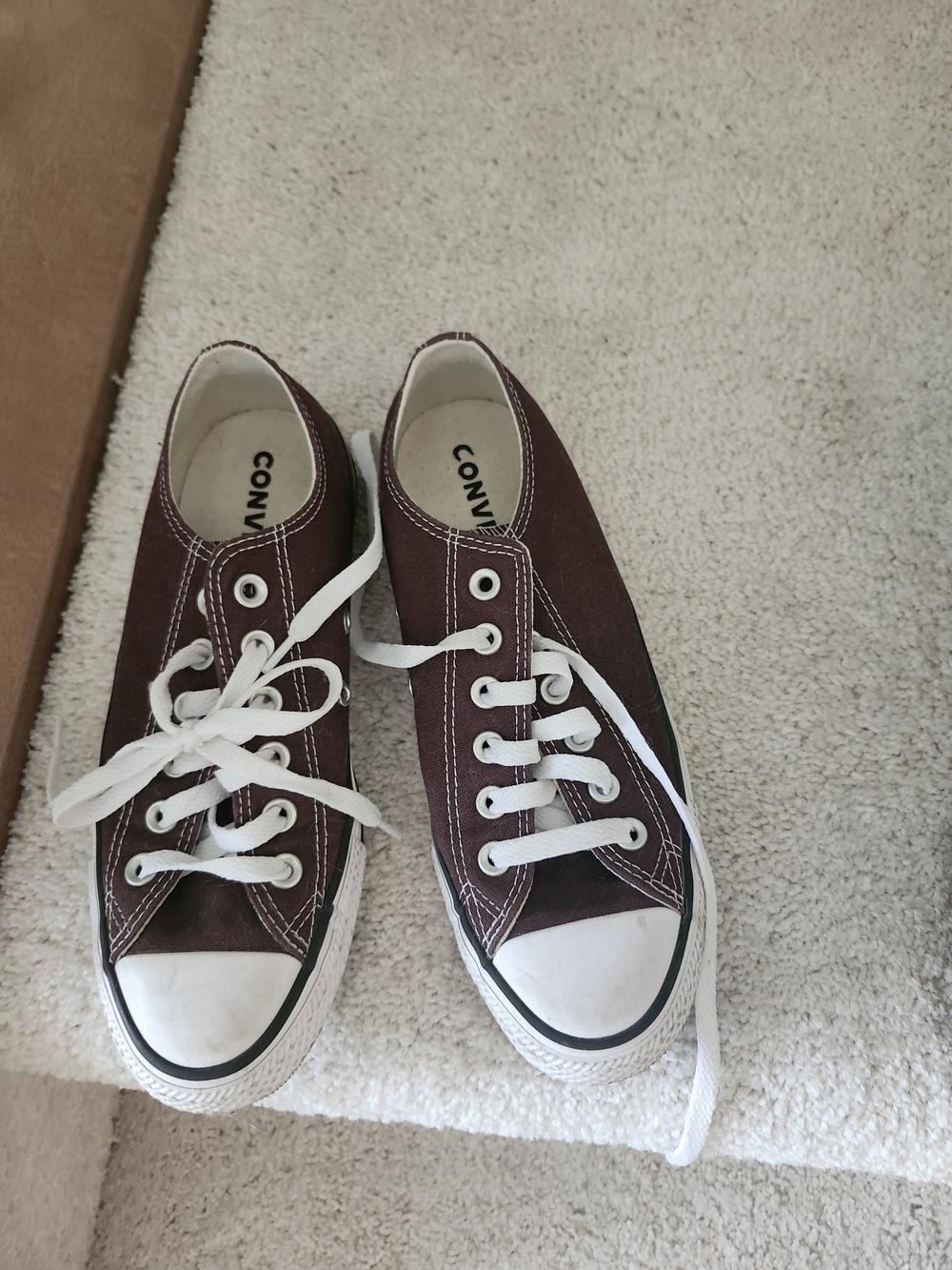 Converse Chuck 70 Low Top Canvas Sneakers in Dark Rootbeer